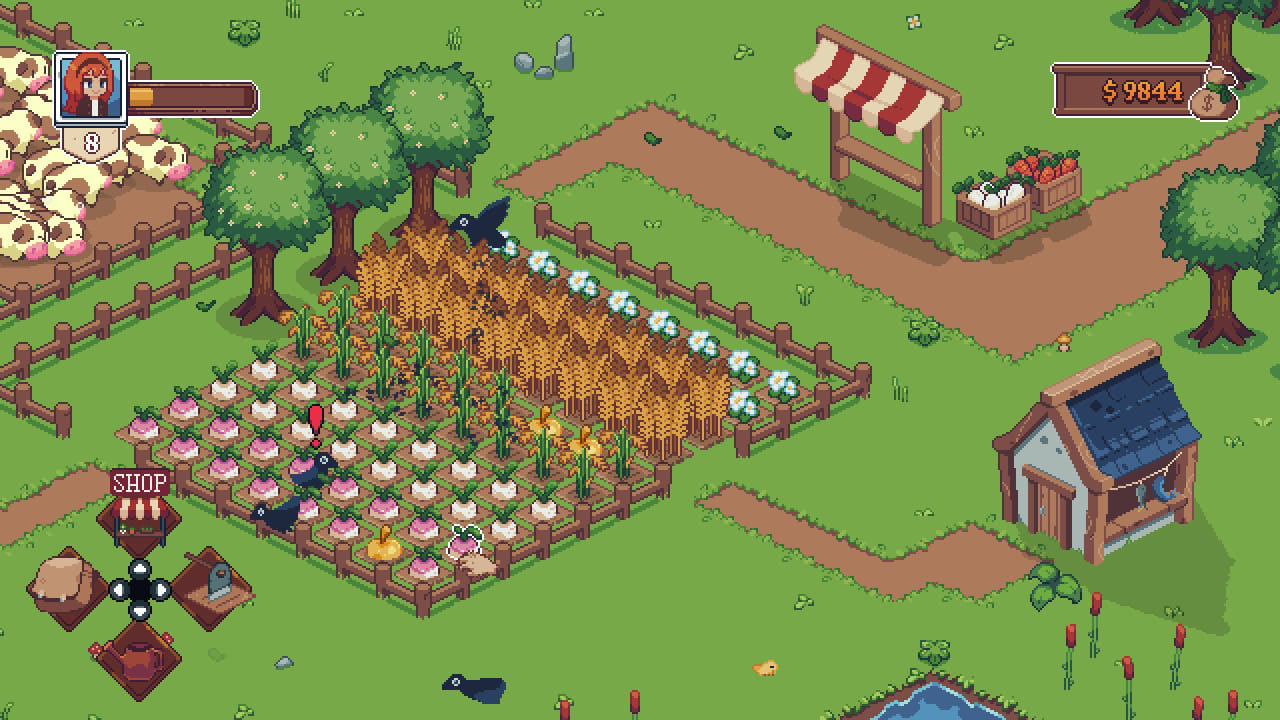 Tiny Little Farm 4