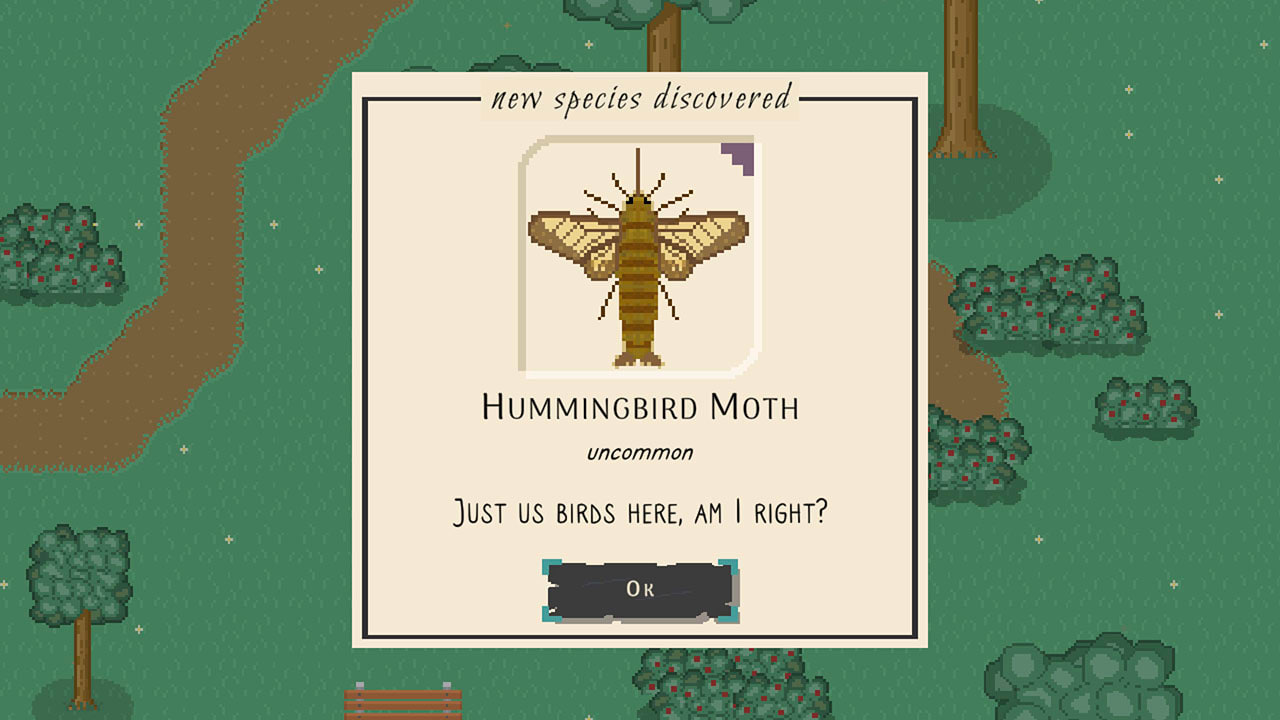 Bug & Seek 3