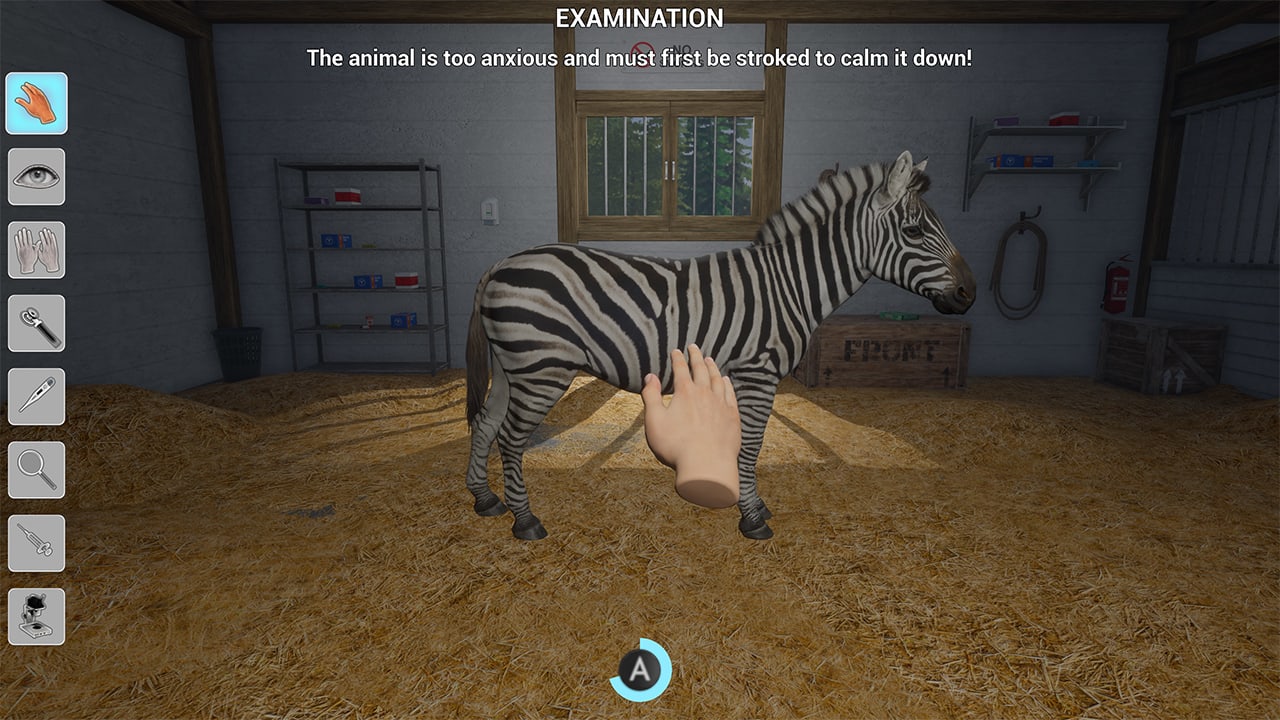 My Life: Zoo Vet 5