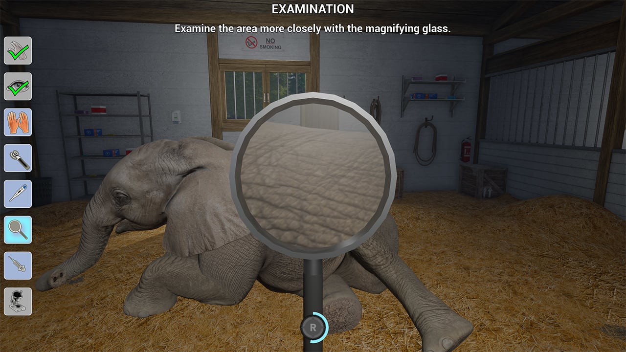 My Life: Zoo Vet 7