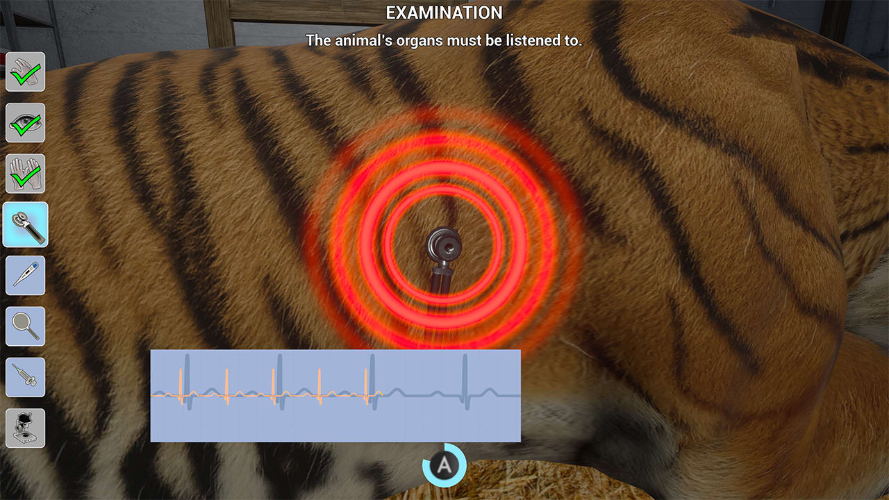 My Life: Zoo Vet 6