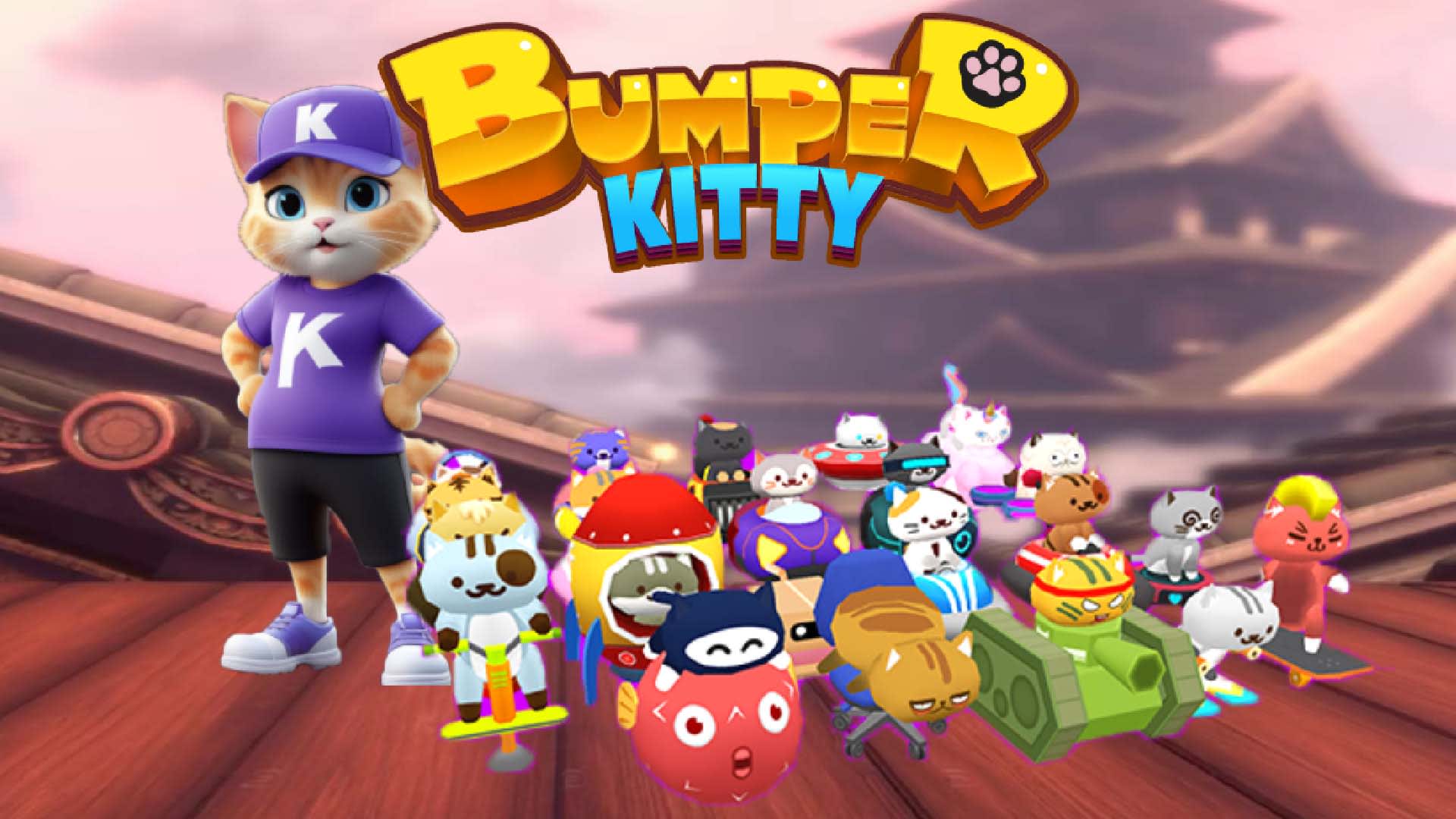 Bumper Kitty 1