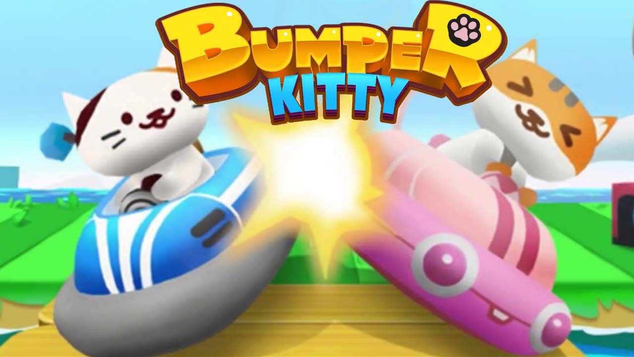 Bumper Kitty 7
