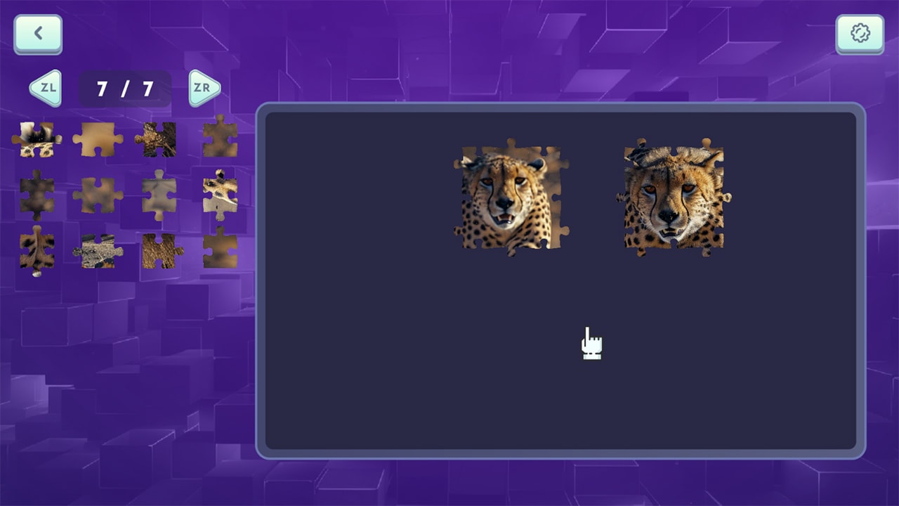 Puzzle Box: Animals 6