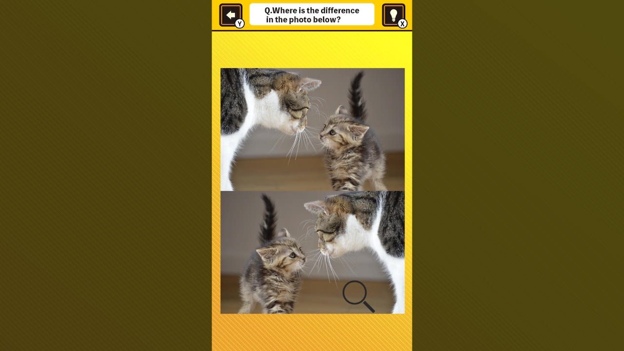 Train Your Brain! Spot the Difference with Cat Photos 2