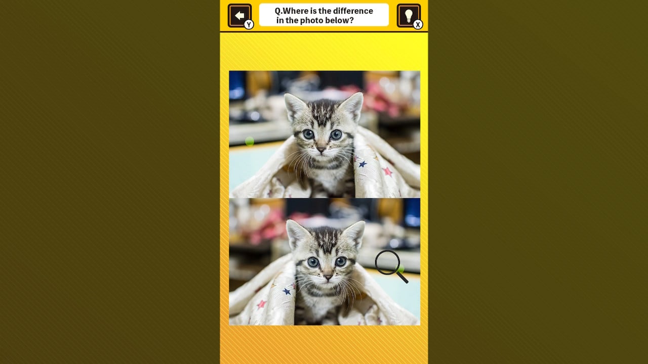 Train Your Brain! Spot the Difference with Cat Photos 4