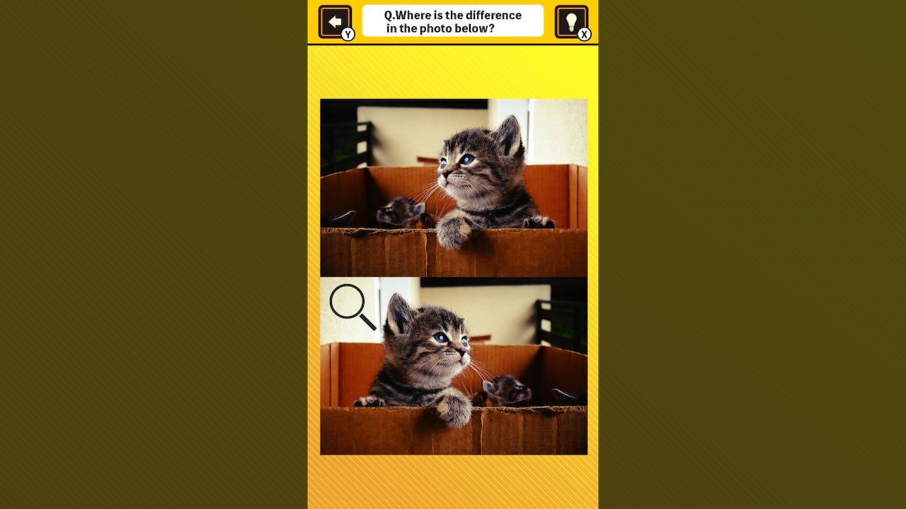Train Your Brain! Spot the Difference with Cat Photos 3
