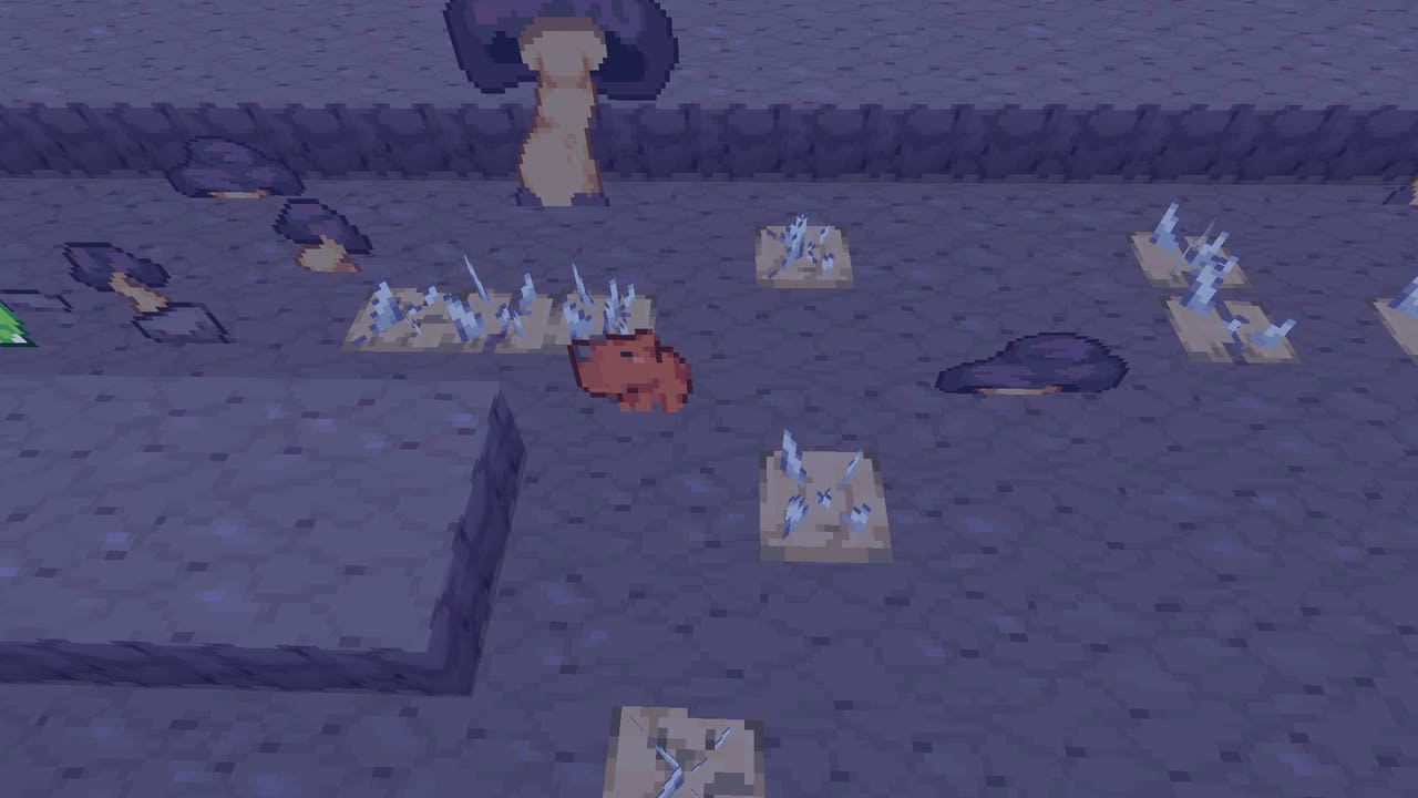 Capy's Quest 5