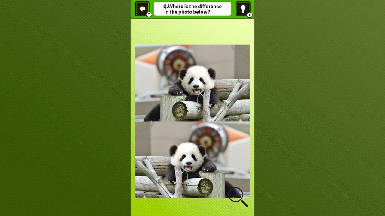 Super kawaii! Finding mistakes in panda photos 2