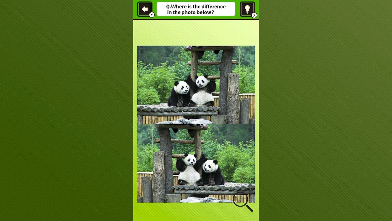 Super kawaii! Finding mistakes in panda photos 4