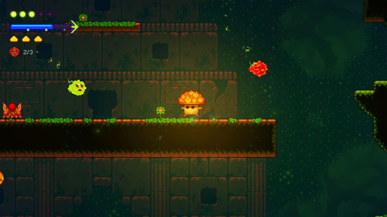 Lone Fungus 6