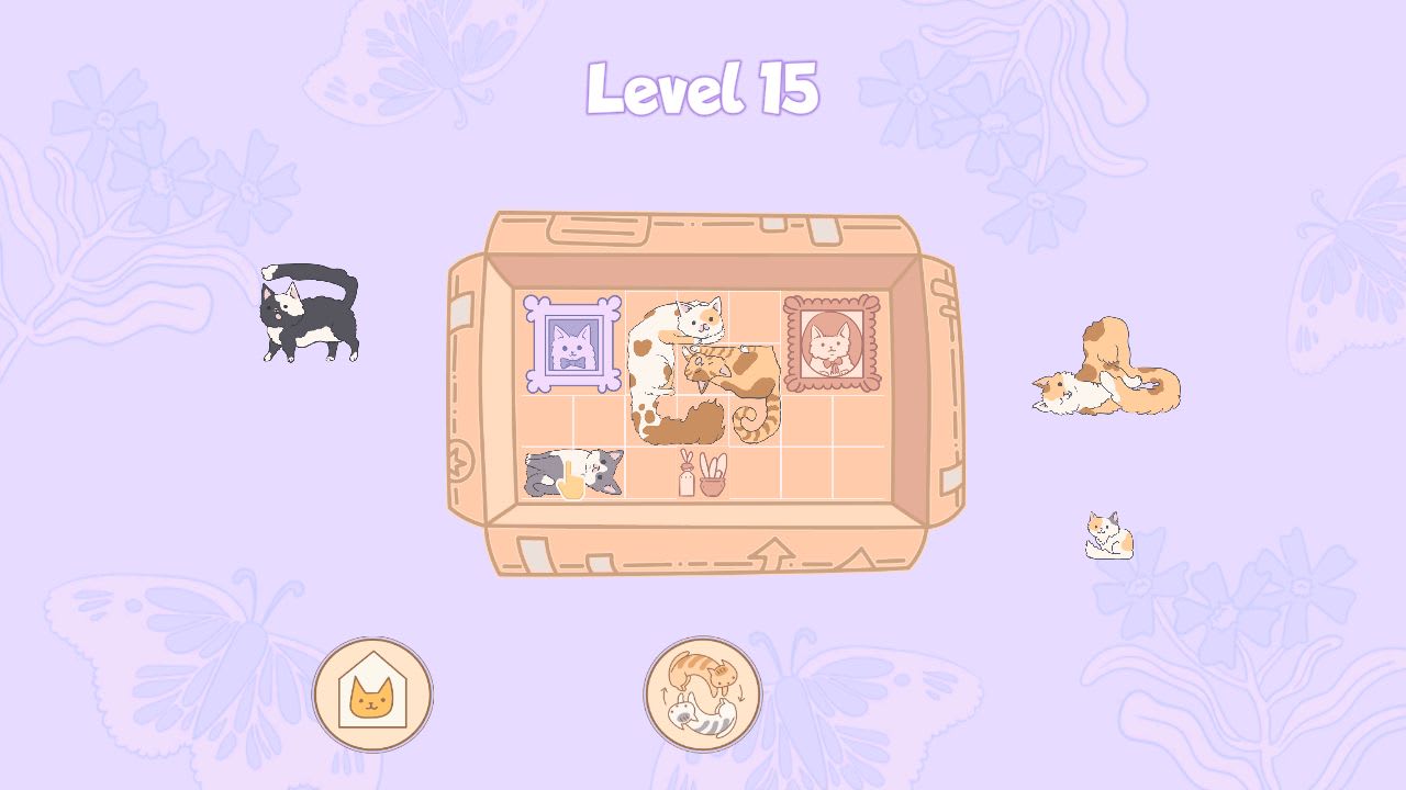 Cats in Boxes 7