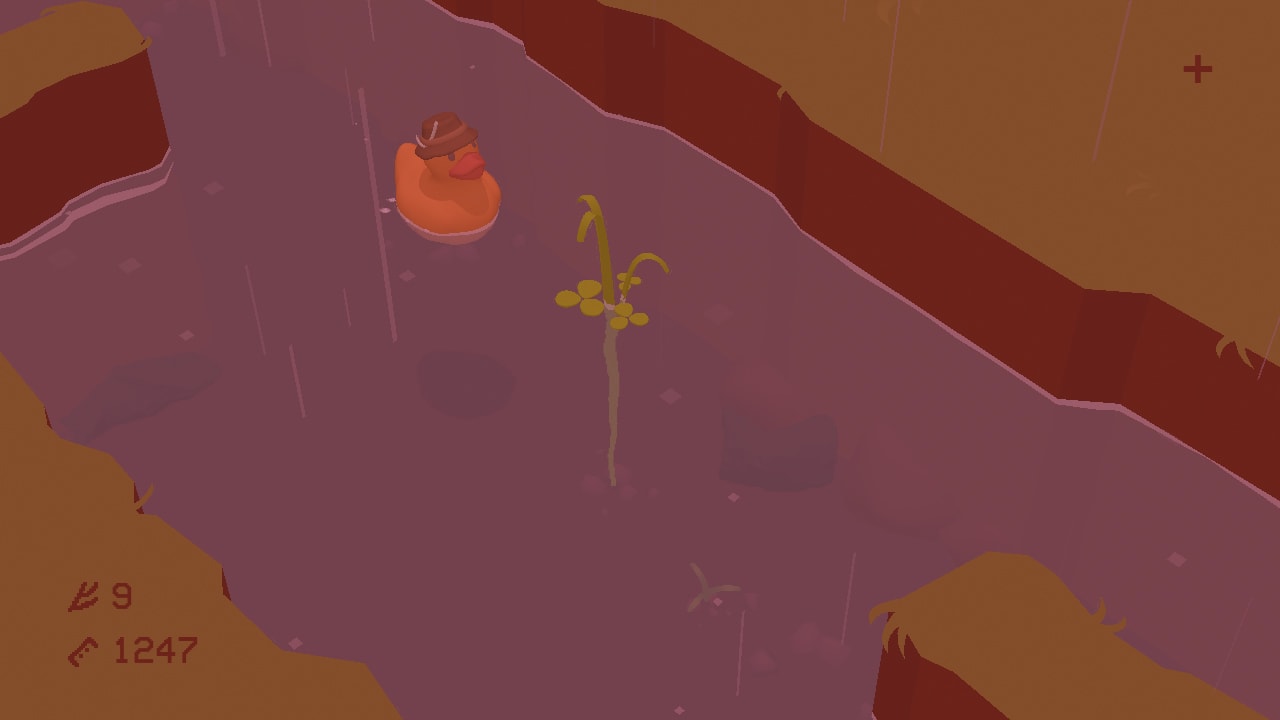 Duckweed 2