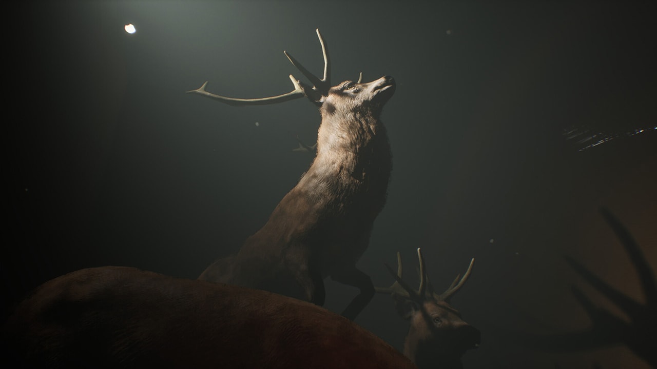 Project 13: Taxidermy Trails 8