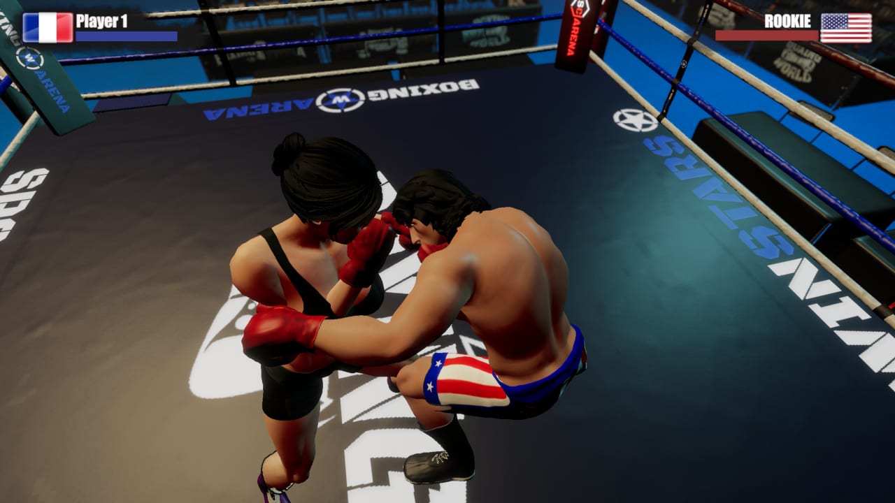 Rookie Boxing 3
