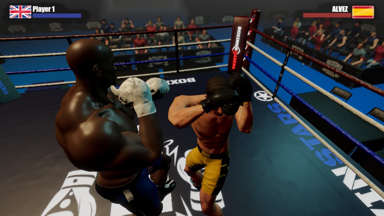 Rookie Boxing 4