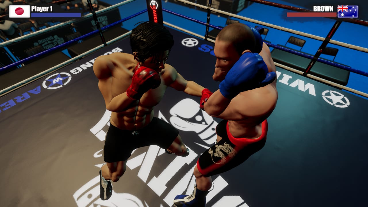 Rookie Boxing 5