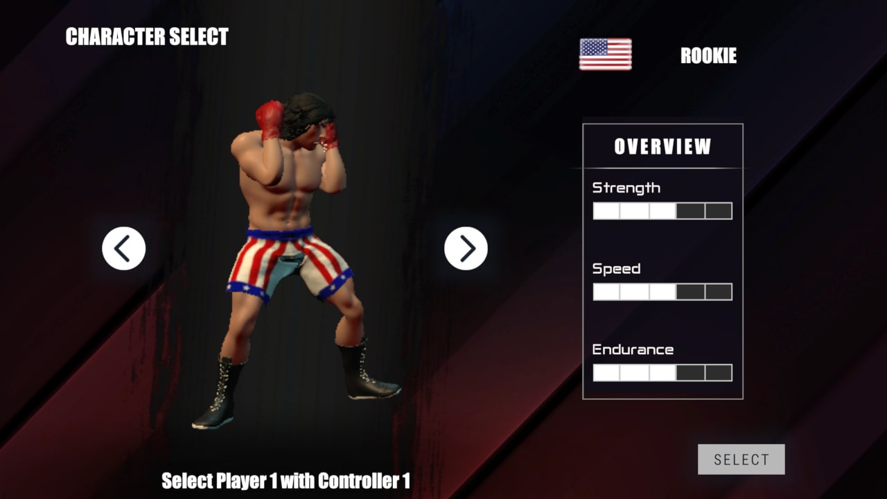 Rookie Boxing 2