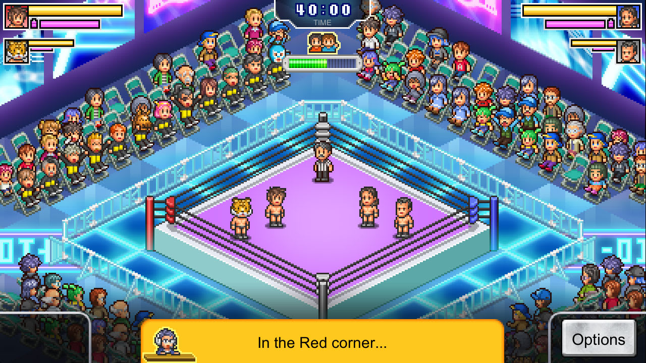 Pro Wrestler Story 4