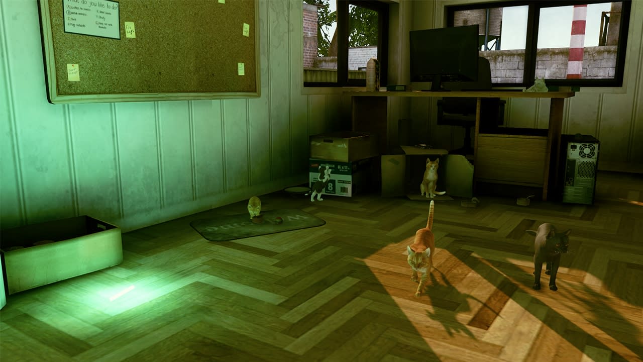 Little Strays 7