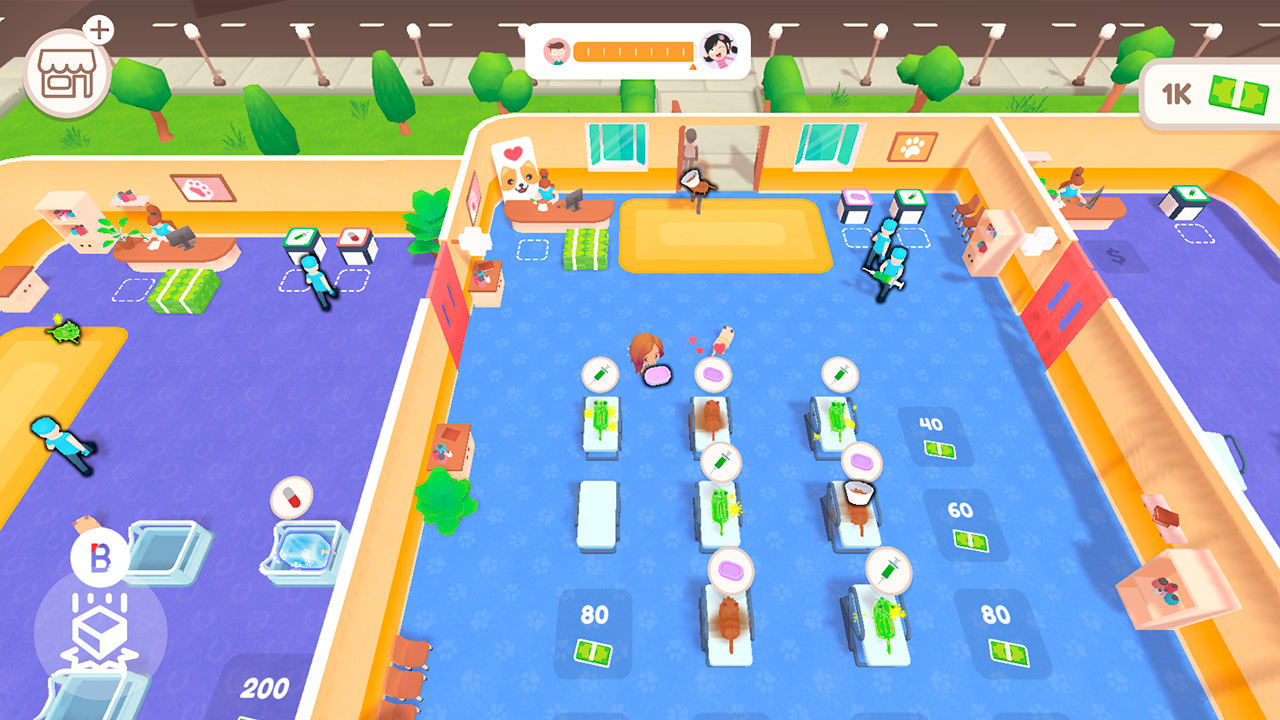 Cat Veterinary: Emergency Hospital Close to Me 5
