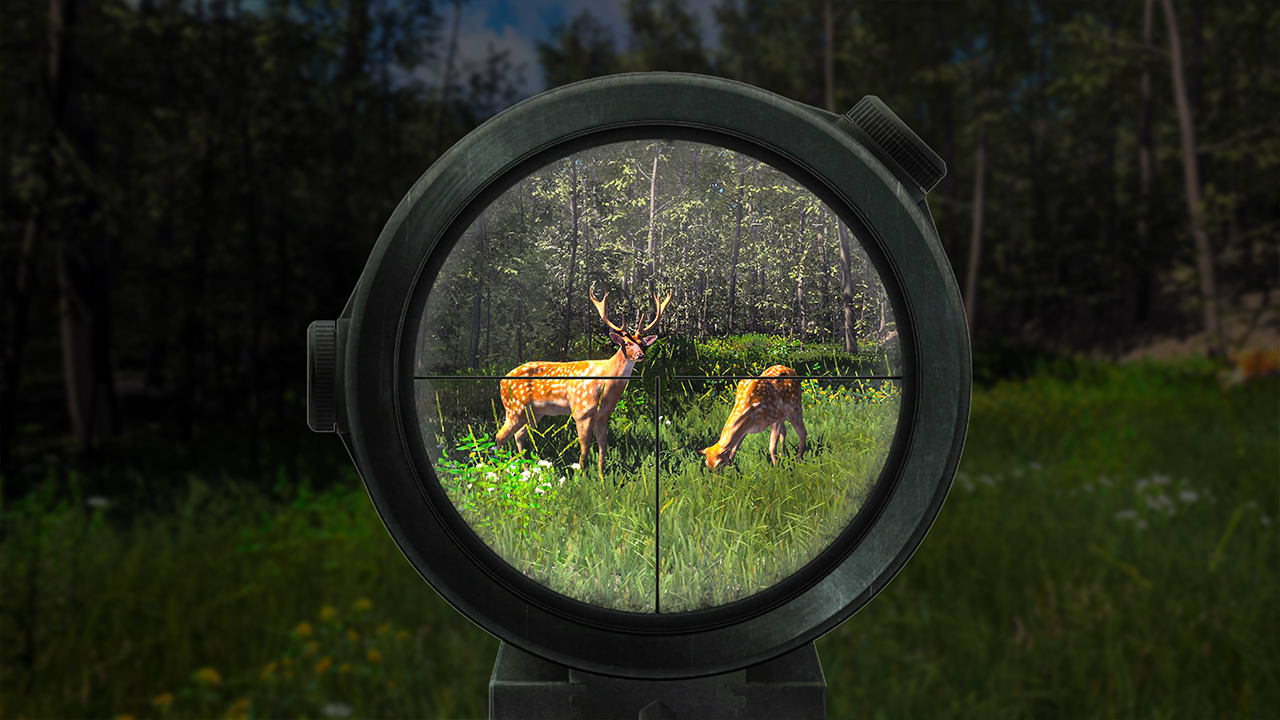 Hunter Simulator : Wild Hunting 6