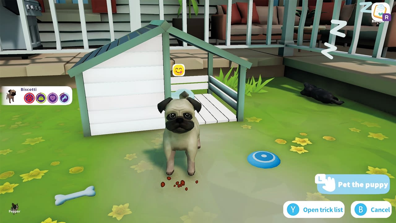 Cute Puppy Academy 4