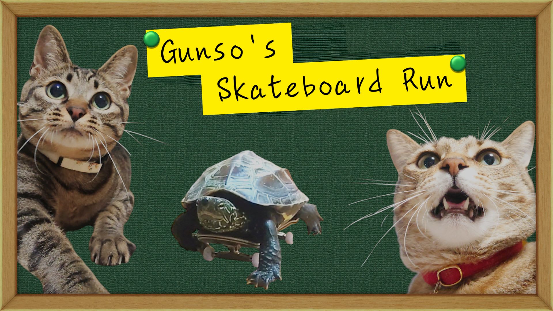 Gunso's Skateboard Run 1