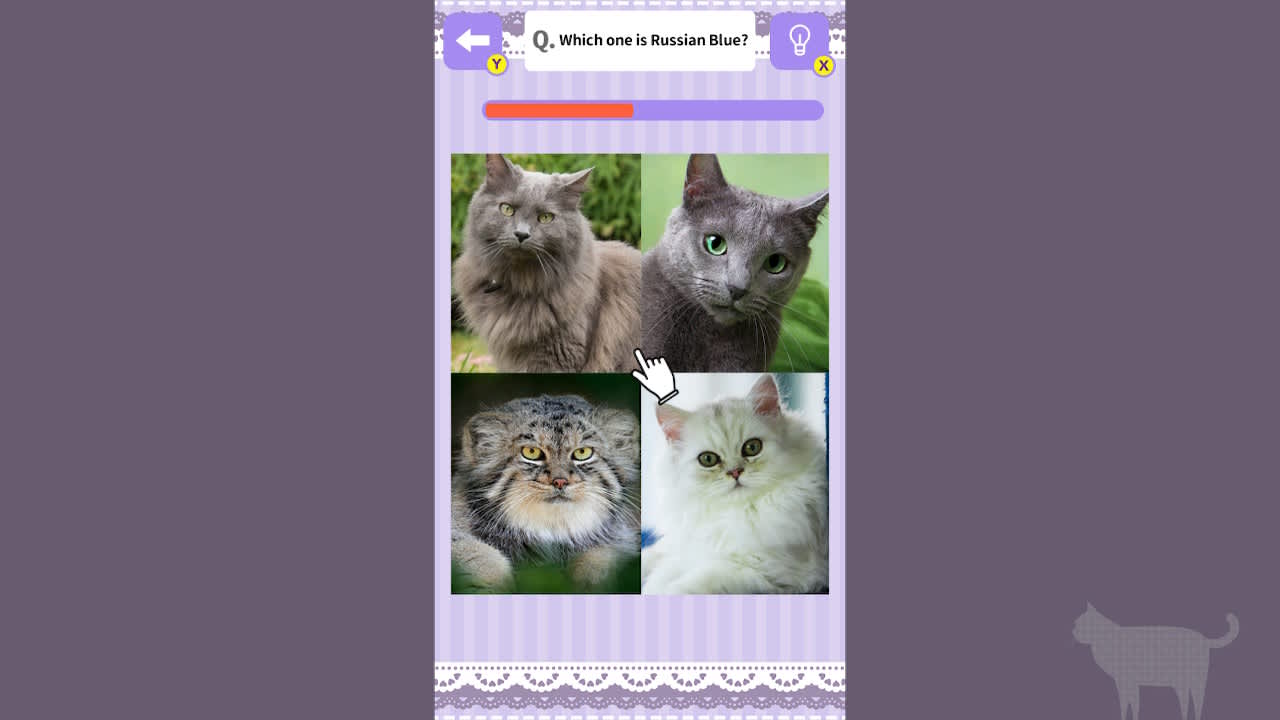 Cat Spotting Challenge! 2