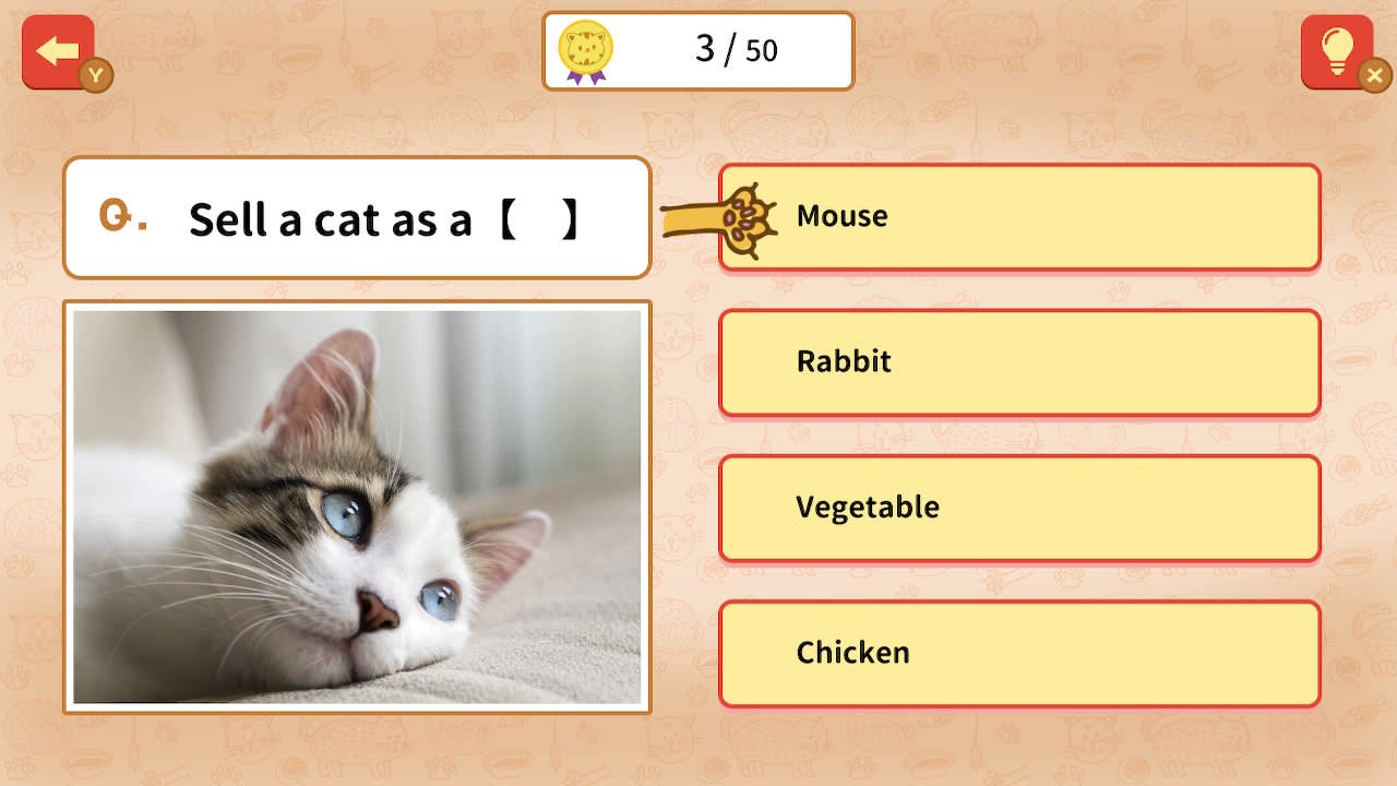 QUIZ! Cat Proverbs Around the World 3