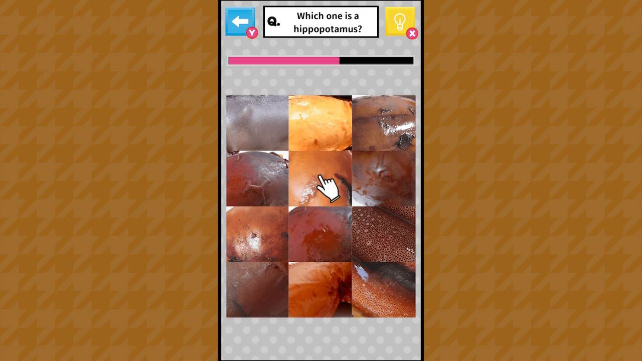 Brain Challenge Spot the Real One! 5