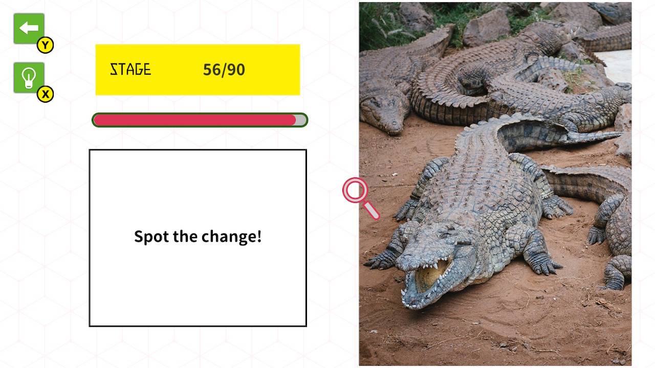 Aha! Spot the Change Brain Teaser 3