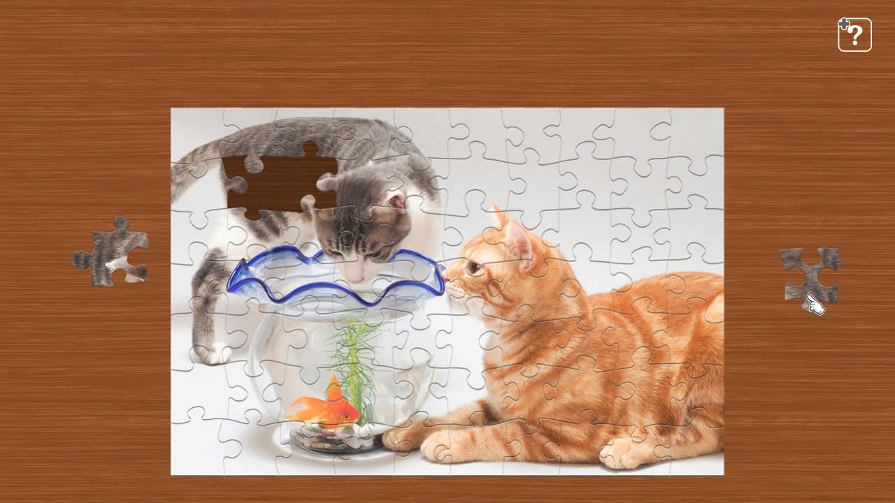 Cute Lovely Cats 2