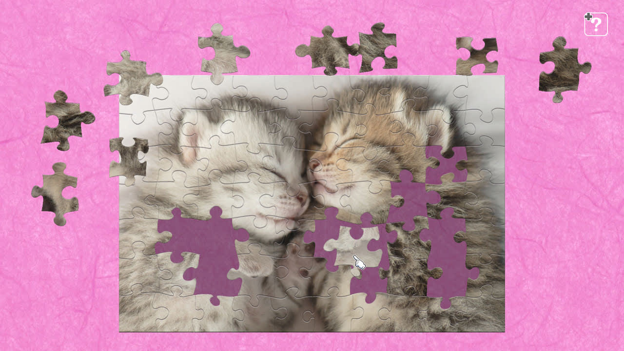 Cute Lovely Cats 4