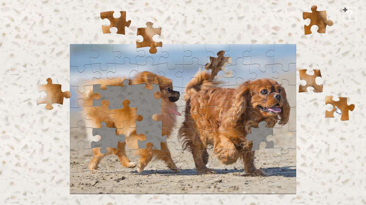 Cute Lovely Dogs 2