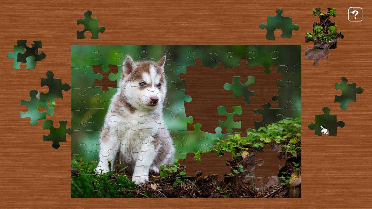 Cute Lovely Dogs 3