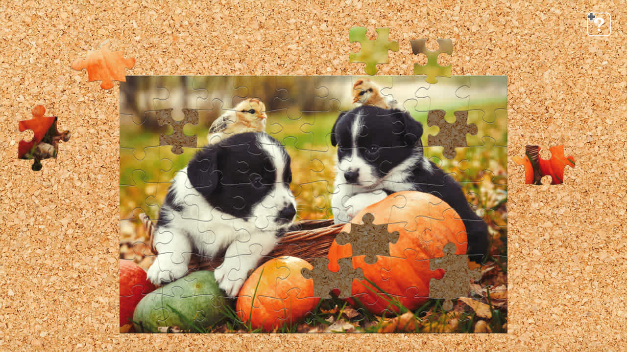 Cute Lovely Dogs 4