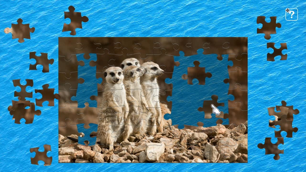 Wildlife in Africa 4
