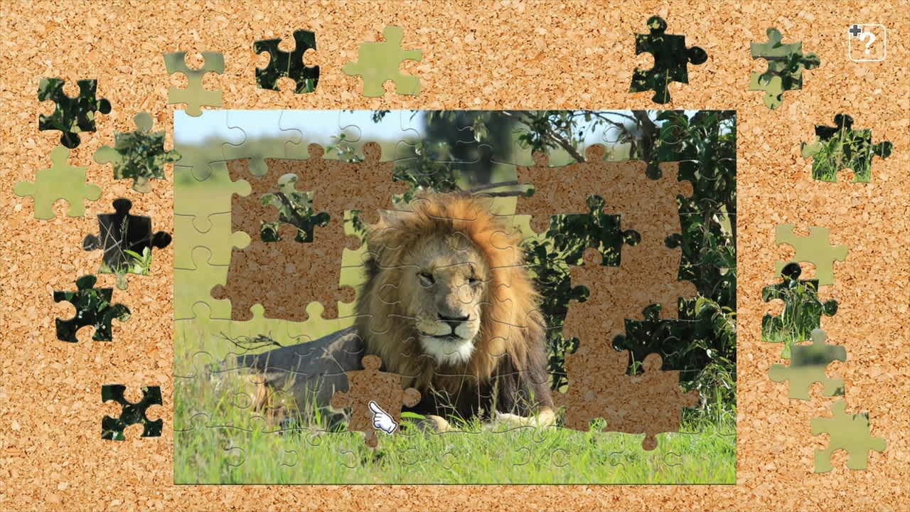 Wildlife in Africa 2