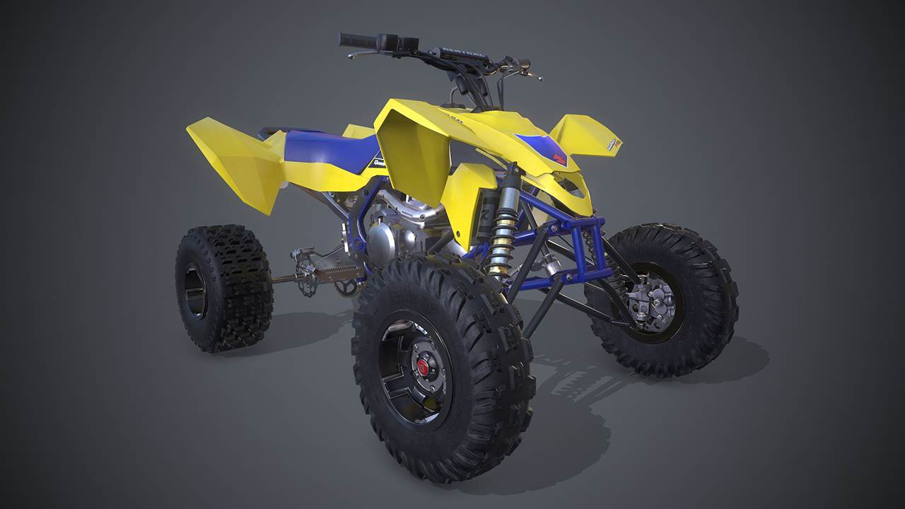 2011 Suzuki LT-R450 3