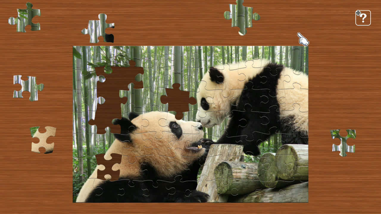 Parent and Baby Animals 2