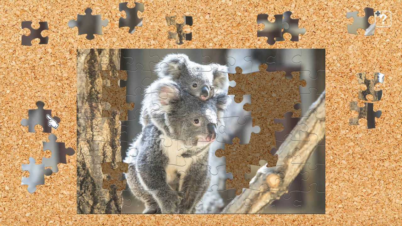 Parent and Baby Animals 4