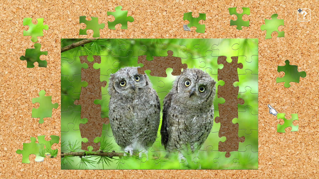 Owl 2