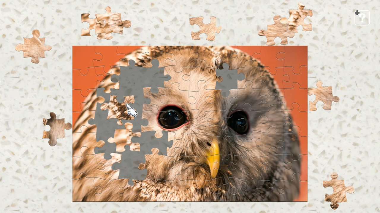 Owl 4