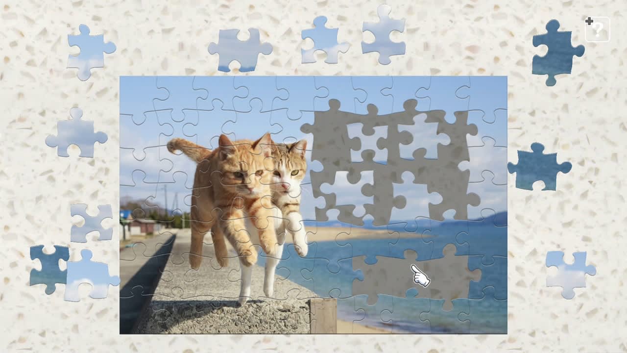 Jumping Cats / Kenta Igarashi 3