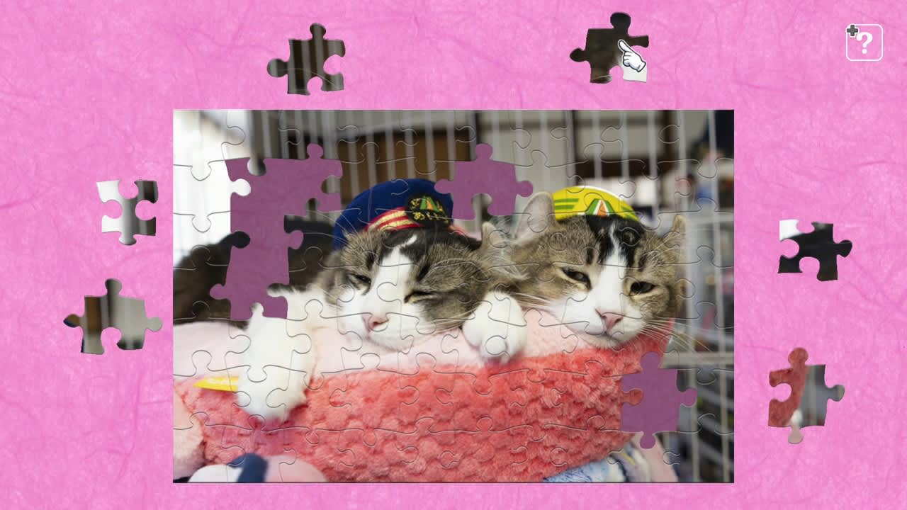 Station Master Cat in Japan / Kenta Igarashi 3