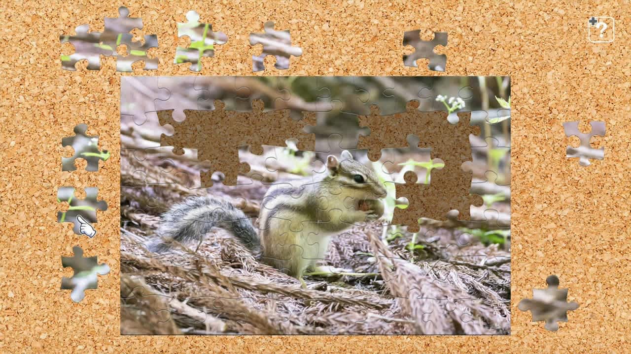 Fluffy Animals in Hokkaido / Kenta Igarashi 3
