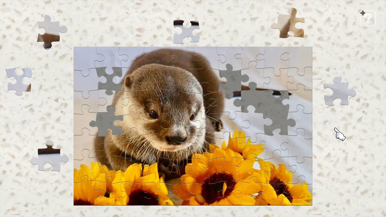 Little otter　Takechiyo＆Aoi 4