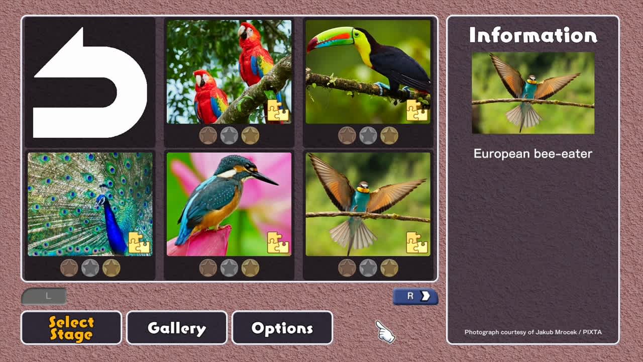Colorful Birds 2