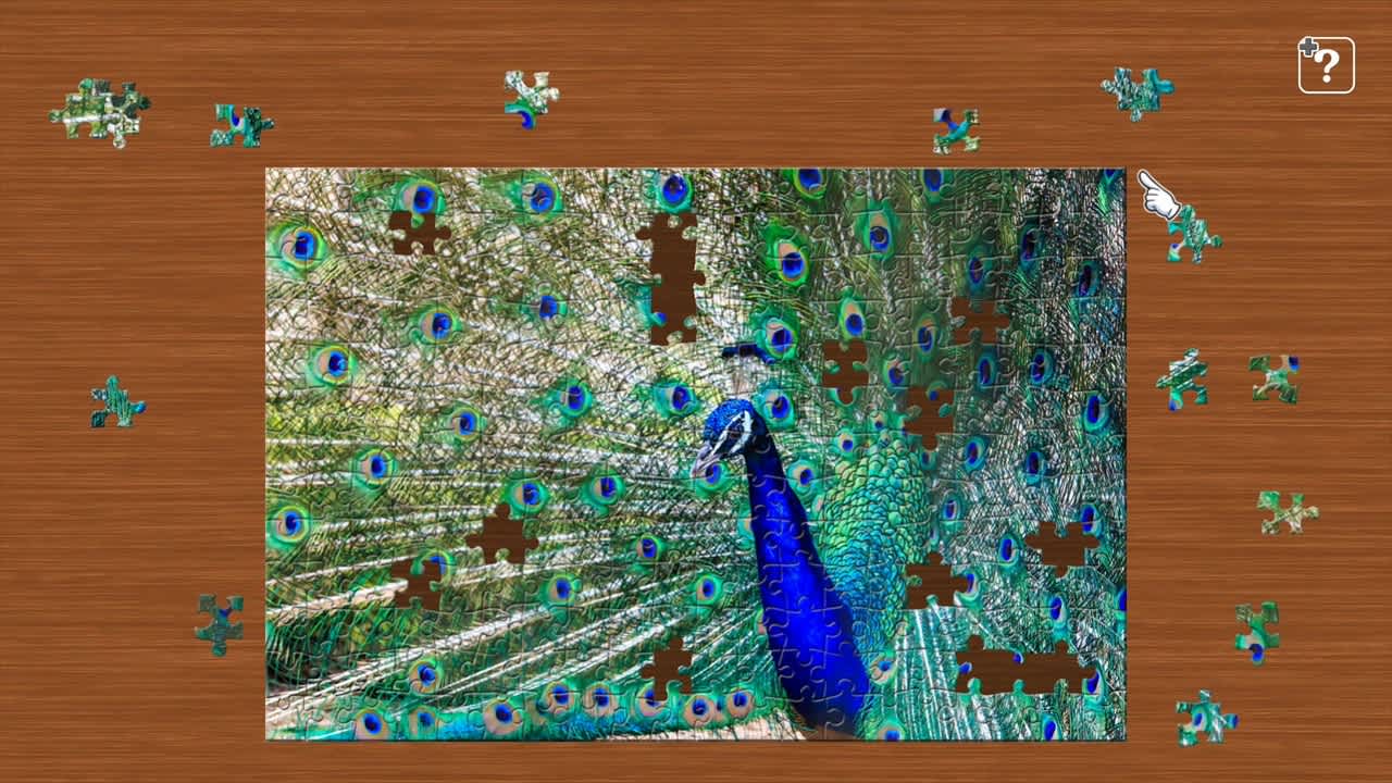 Colorful Birds 4